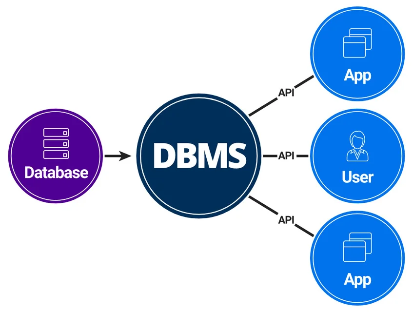 数据库通过 DBMS 为应用程序和用户提供数据服务
