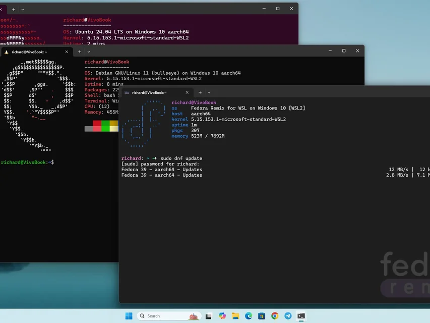 Windows 11 中运行的 WSL2 Linux 环境