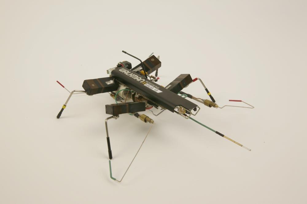 Robotic Insect