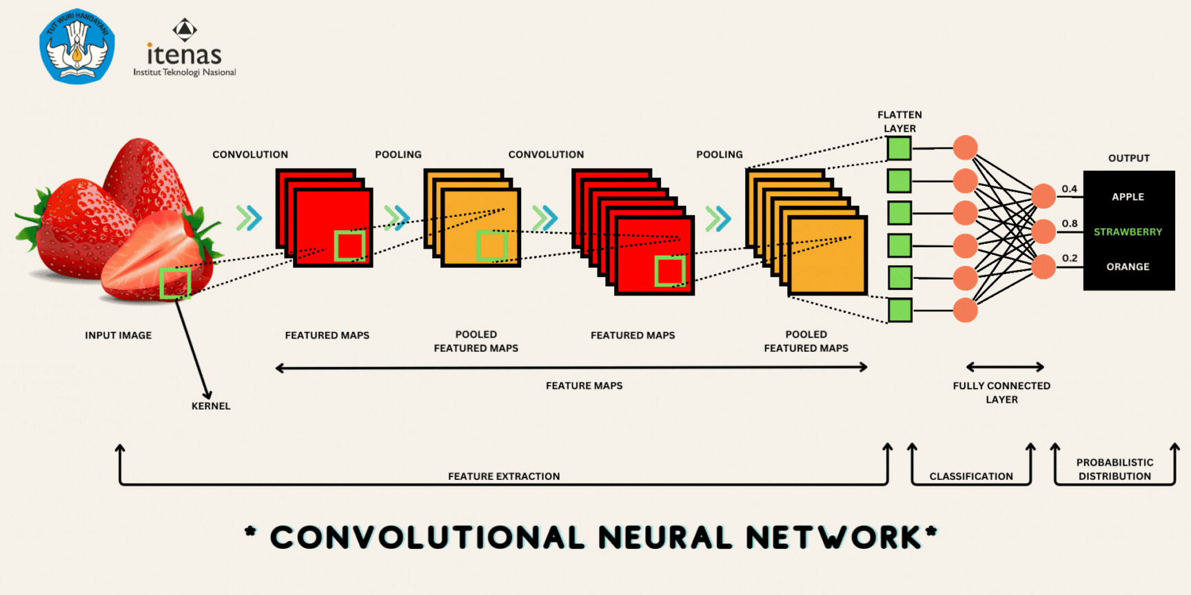 Convolutional Neural Network